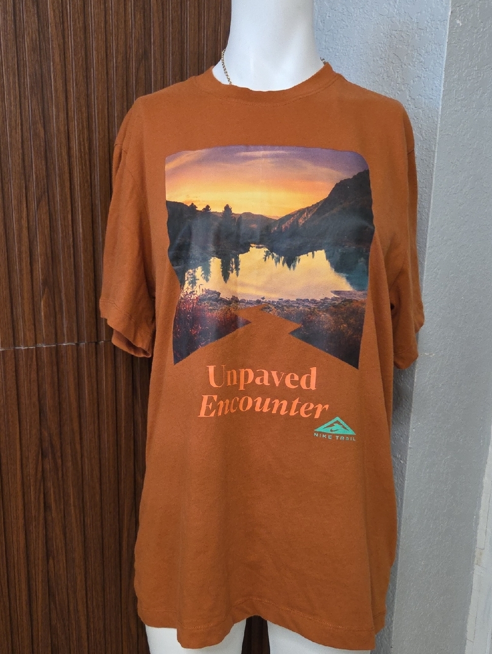 Nike Short Sleeve Graphic Tee in Rust with Sunset Print Medium Sz [1070]